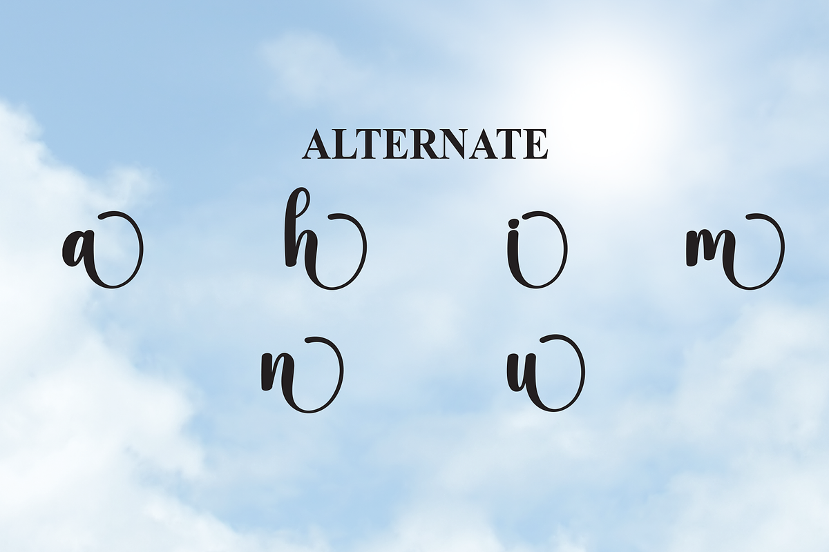 Shine | Script Font, a Handwritten Font by Scratchones (Photo 8 of 9)