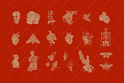 Anatomy of love, a Healthcare Illustration by OlgaSoi007 (Thumbnail 2 of 12)