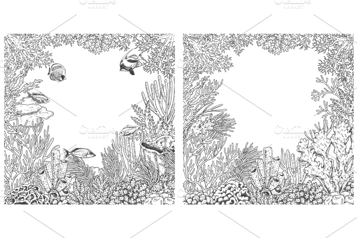 Coral Reef Monochrome, a Decorative Illustration by Valentyna Smordova (Photo 5 of 5)