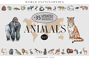 ANIMALS World Encyclopedia, an Animal Illustration by Anastezia Luneva (Thumbnail 1 of 14)