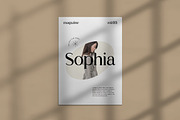 Chic Royale Classy Serif Font, a Serif Font by UICreative (Thumbnail 9 of 12)
