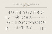 Cameron | Modern Sans Serif Font, a Sans Serif Font by Kandella's Art (Thumbnail 11 of 17)
