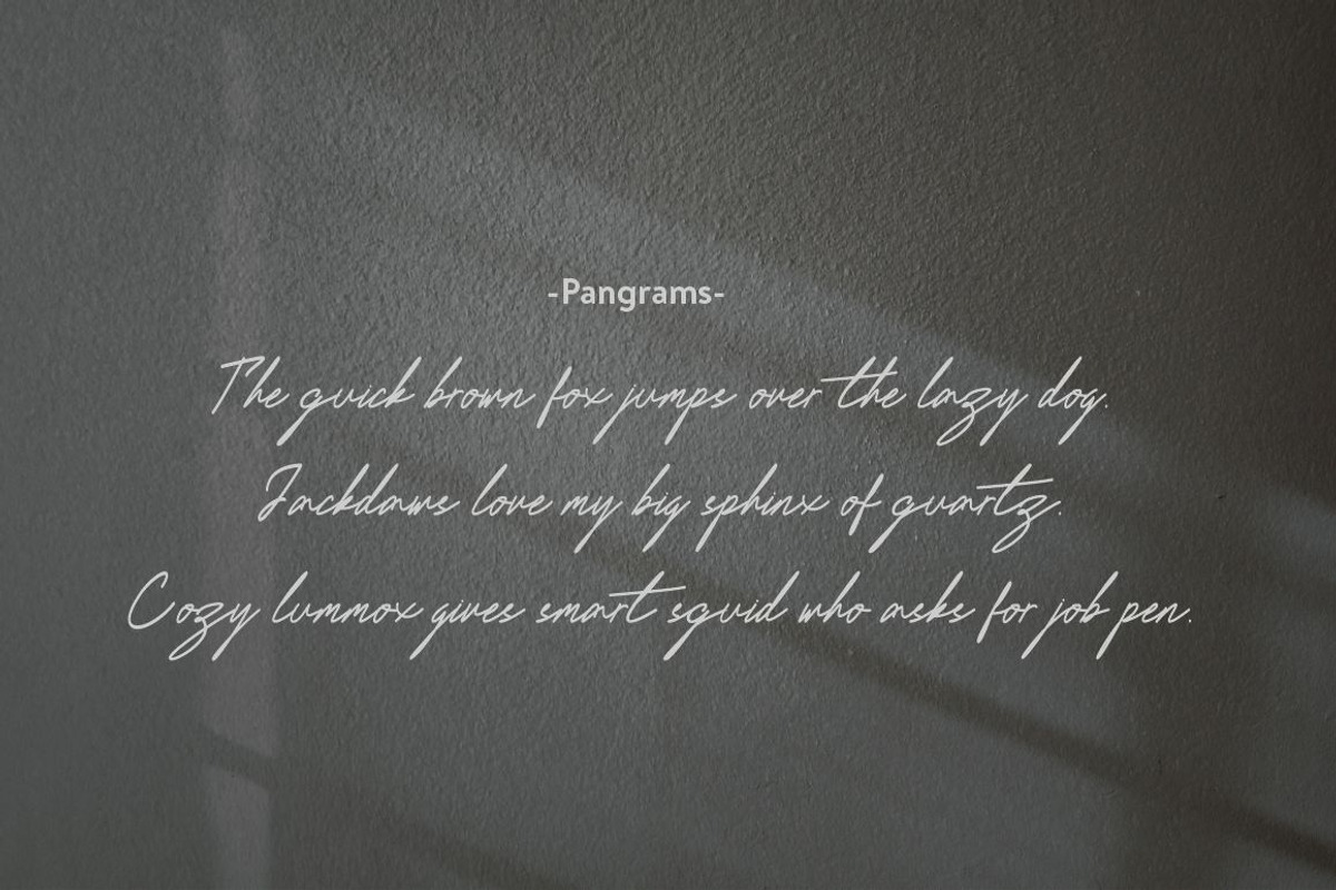 Delimis Script Font, a Script Font by JNJ Studio (Photo 8 of 10)