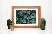 Frame Mockup Bundle - Monstera, a Household Mockup by Saguaro Digital (Thumbnail 6 of 9)