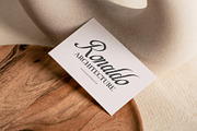 Berlina Elegant Script Font, a Script Font by Elegant Font (Thumbnail 6 of 8)