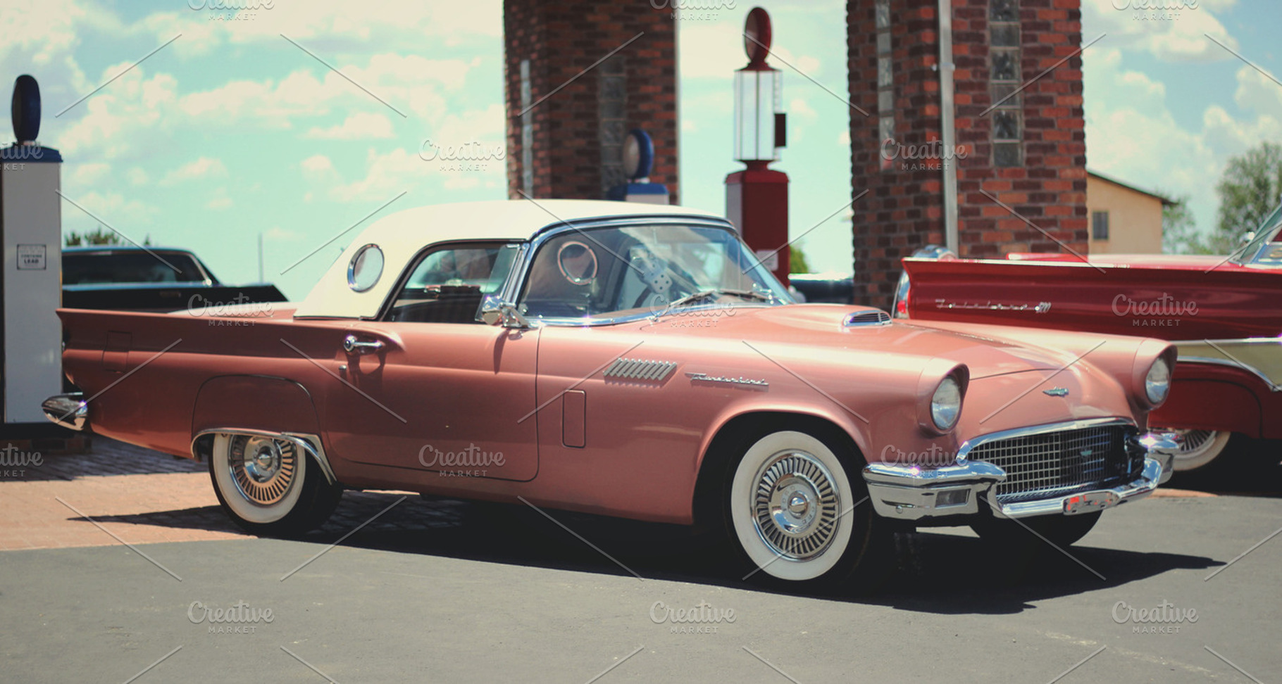 Pink Thunderbird