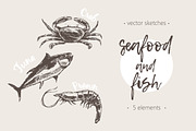 Set of hand drawn seafood and fish, a Food Illustration by TheMountBirdStudio (Thumbnail 1 of 2)