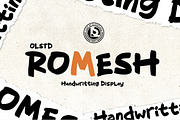 ROMESH olstd - Display, a Handwritten Font by Olexstudio (Thumbnail 1 of 7)