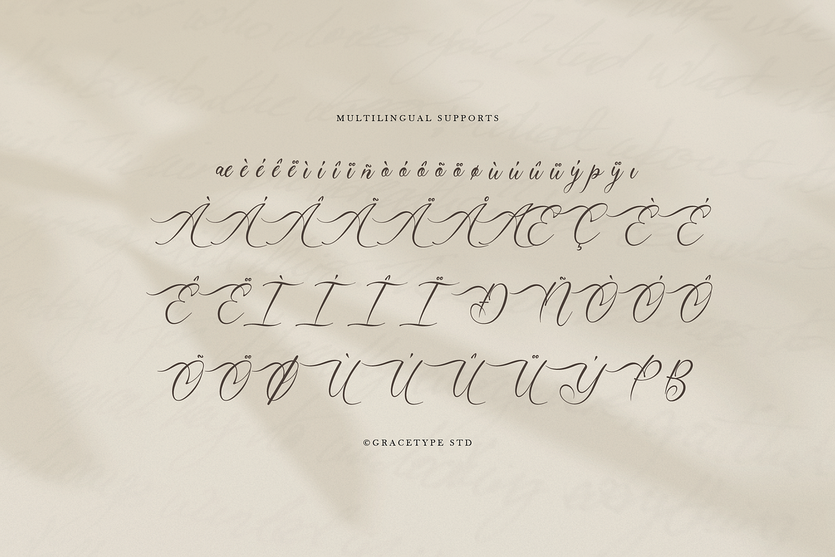 Mallsreya Beauty Calligraphy Script, a Script Font by gracetype_studio (Photo 12 of 12)