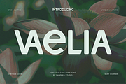 Vaelia - Elegant & Playful Sans, a Sans Serif Font by Pandeka Studio (Thumbnail 1 of 9)