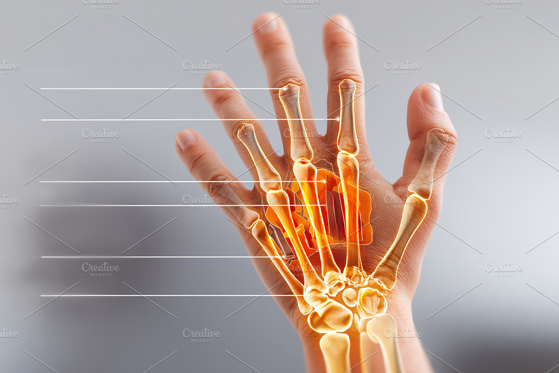 Understanding the anatomy of the human hand and its skeletal structure ...