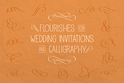Vector Flourishes, a Decorative Illustration by Little Pixel Shop (Thumbnail 1 of 5)