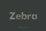 Zerbra Font Sans, a Sans Serif Font by Maxim apperian (Thumbnail 1 of 8)