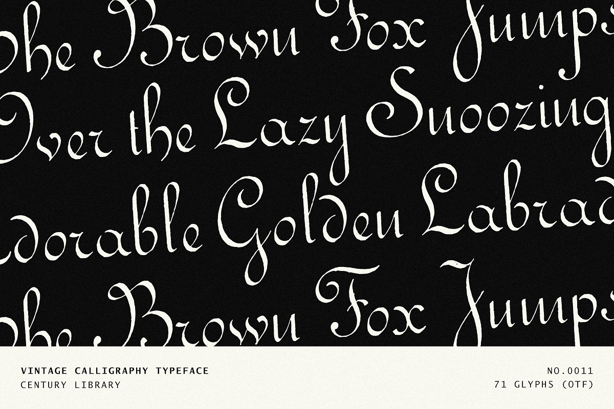 Elegant Vintage Calligraphy Font, a Script Font by Century Library (Photo 1 of 7)
