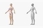 Natural Female 01 A-Pose Base Mesh, a Characters & Person 3D Model by VK Studio (Thumbnail 10 of 26)