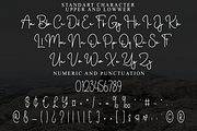 Planner Flight, a Handwritten Font by FreshTypeINK (Thumbnail 5 of 8)