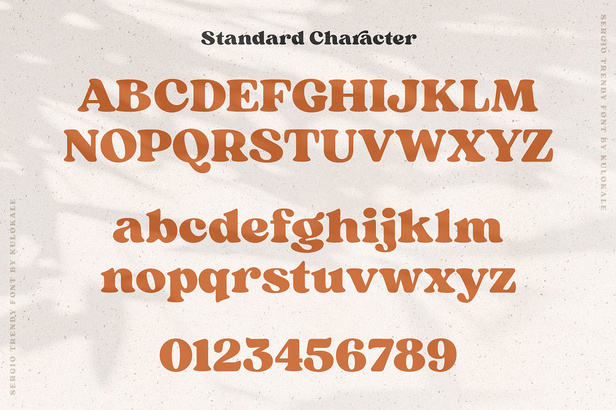 Sergio Trendy - Modern Serif Font, a Serif Font by Kulokale (Photo 12 of 15)