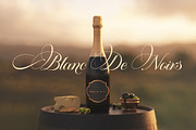 Platinum script, a Script Font by Pista Mova (Thumbnail 9 of 11)