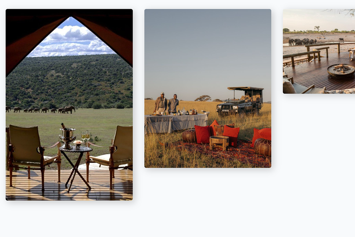 Serenity-Wildlife & Tourism Template, a Landing Page Template by NomaTemplates (Photo 6 of 10)