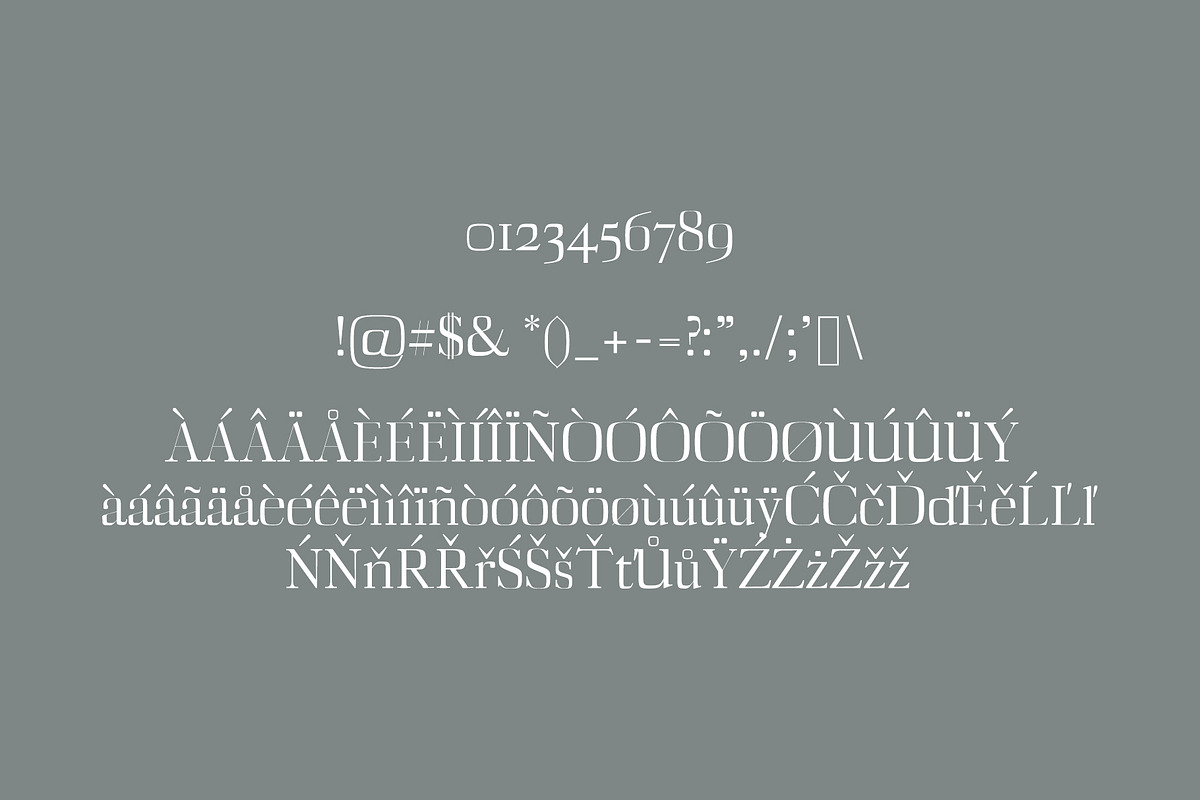 Deidra Serif Font Family Pack preview 4