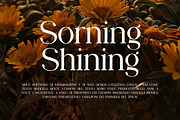 Palatines Serif Display Family Font, a Serif Font by UICreative (Thumbnail 13 of 13)