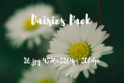 Daisies Pack, a Templates & Theme by ApertureVintage (Thumbnail 13 of 14)
