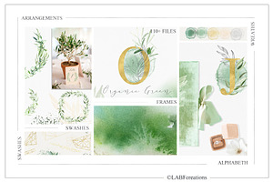 Organic Green Olive Watercolors