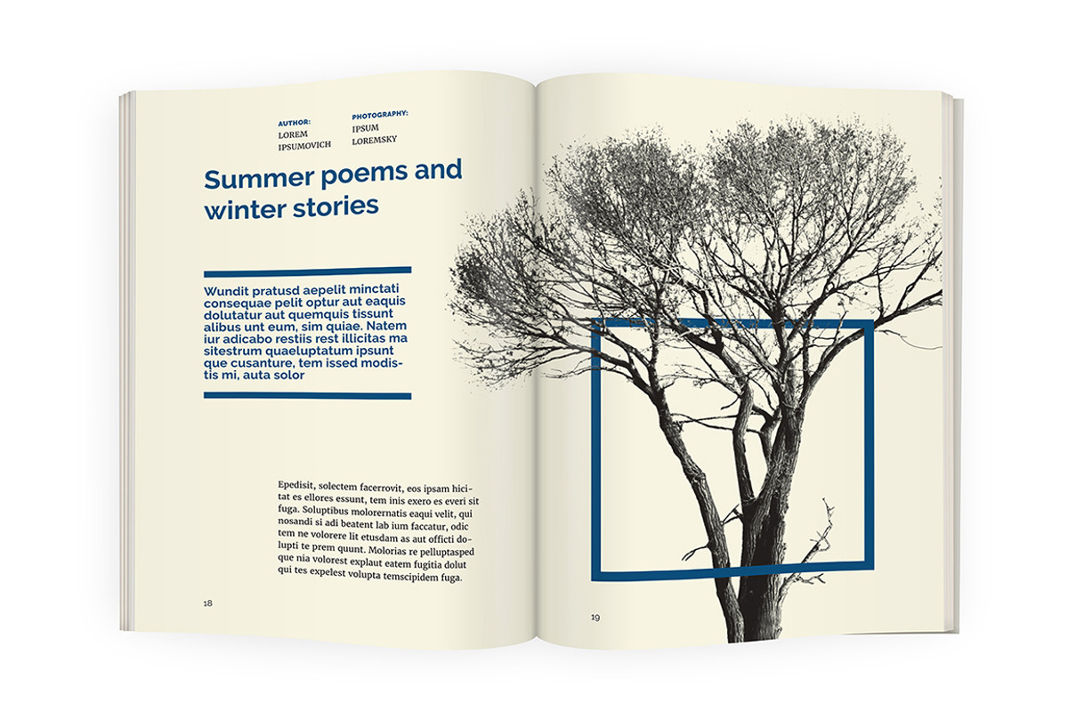 BlueFox - A5 mini magazine template, a Magazine Template by IndieStock (Photo 6 of 8)