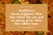 Bilma Elegant Serif Font, a Serif Font by Perfectype (Thumbnail 4 of 8)