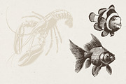 340 Sea Creatures illustrations, an Animal Illustration by Nocturnal Wolf (Thumbnail 3 of 15)