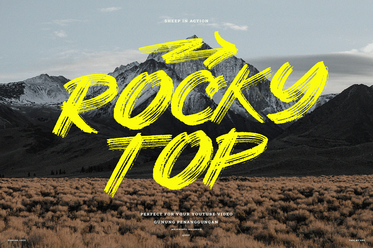 Sheep | Dry Brush Script Font, a Script Font by Ardana Creative (Photo 2 of 6)