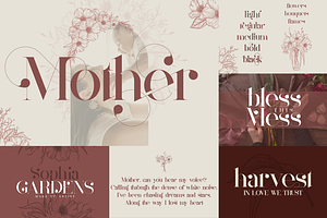 Bestseller Font Collection Vol2