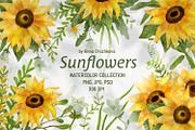 Sunflowers Watercolor Collection, an Illustration by Anna Druzhkova (Thumbnail 1 of 17)
