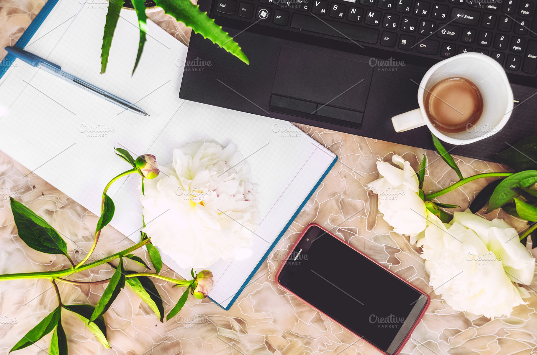 white peonies on the desktop. work a, a Business Photo by My world is my eyes