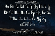 Anything Wedding, a Script Font by FreshTypeINK (Thumbnail 7 of 8)