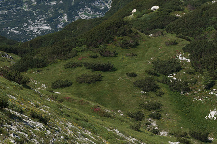 Mountaineer hiking on early morning, Triglav National Park, Slovenia, a Nature Photo by Bepslabor