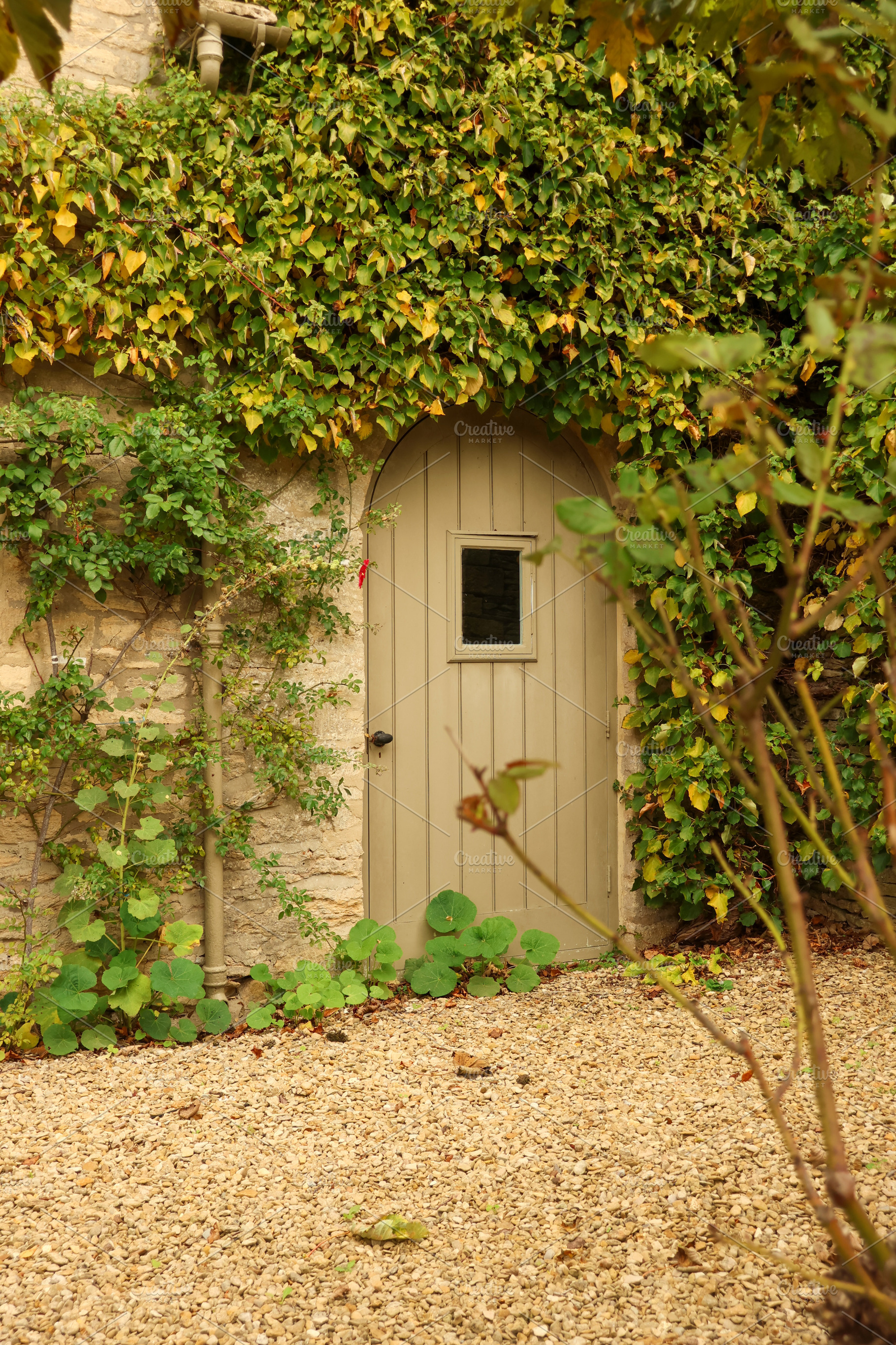 Arched wooden door on a stone wall, climbing ivy and green plants creating a hi, a Photo by Studio ANNA