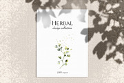 Herbal Watercolor collection, a Work Illustration by Lisima (Thumbnail 9 of 14)