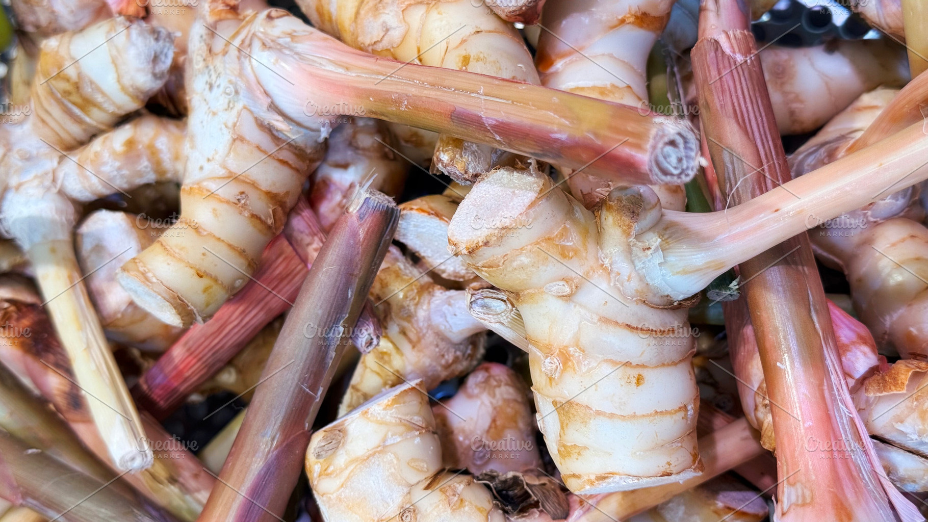 Galanga or Greater galangal pile, a Food & Drink Photo by ArtBackground