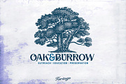 Vintage Oak Tree Illustration, an Object Graphic by RMPL.std (Thumbnail 5 of 5)