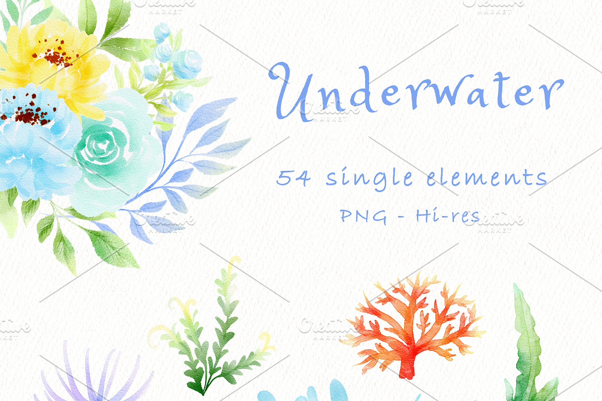 UNDERWATER SEA CLIPART, an Animal Illustration by heyiamalice (Photo 6 of 13)