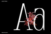 Anyelir Display - Condensed Serif, a Serif Font by Magnolitype (Thumbnail 2 of 21)