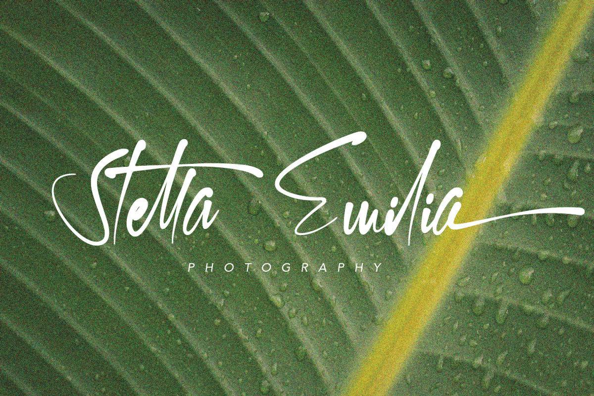 Kallem - Script Font, a Script Font by zelow type (Photo 2 of 14)