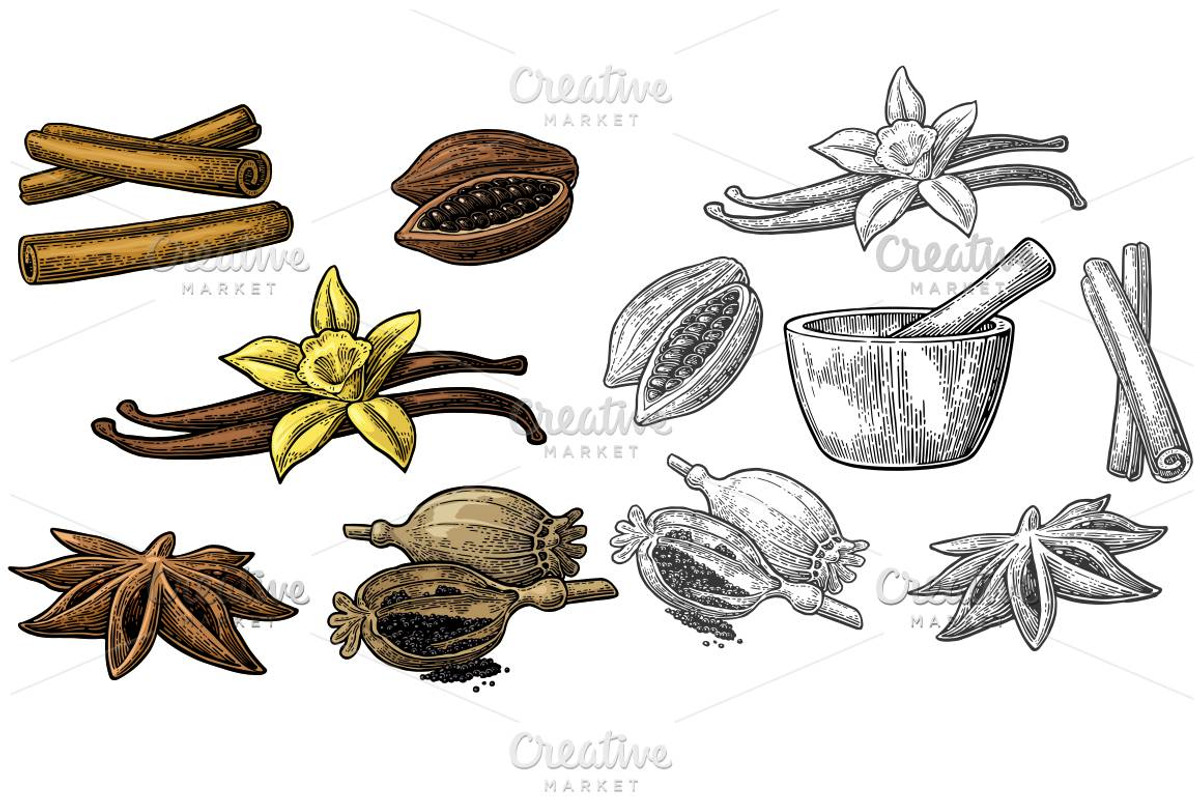 Set of Spices, Mortar and Pestle., a Food Illustration by MoreVector