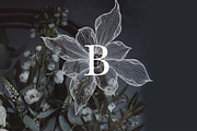 Mystic Floral Line Art Illustrations, an Illustration by Laras Wonderland (Thumbnail 3 of 9)
