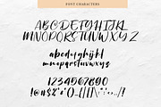 Chellyne - Modern Script Font, a Script Font by StringLabs (Thumbnail 5 of 6)