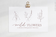 Wild flowers illustration clipart, an Illustration by Angele Kamp (Thumbnail 14 of 15)