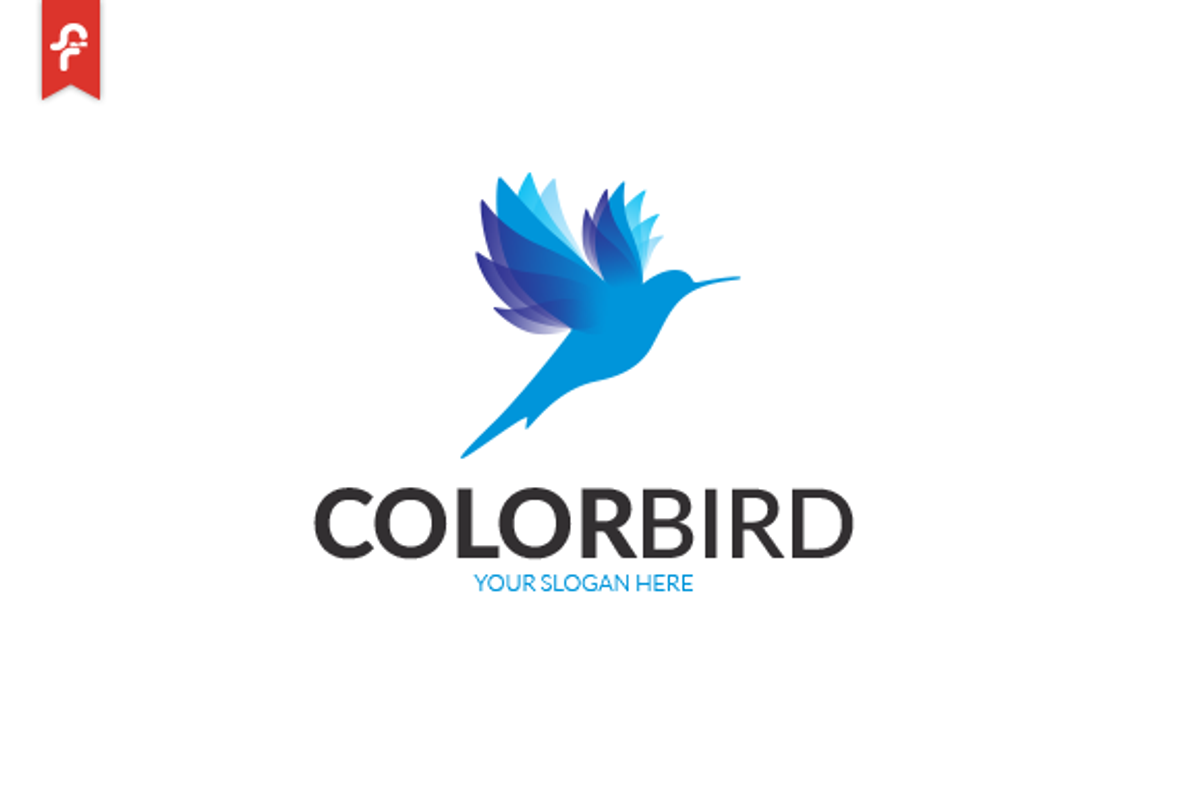 Color Bird Logo, a Branding & Logo Template by ft.studio