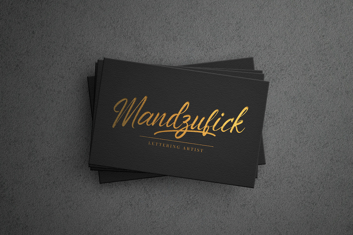 Anthony Louis - Modern Script Font, a Script Font by StringLabs (Photo 3 of 11)