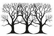 Nature Tree Silhouette Bundle, an Illustration by hafijul (Thumbnail 2 of 9)